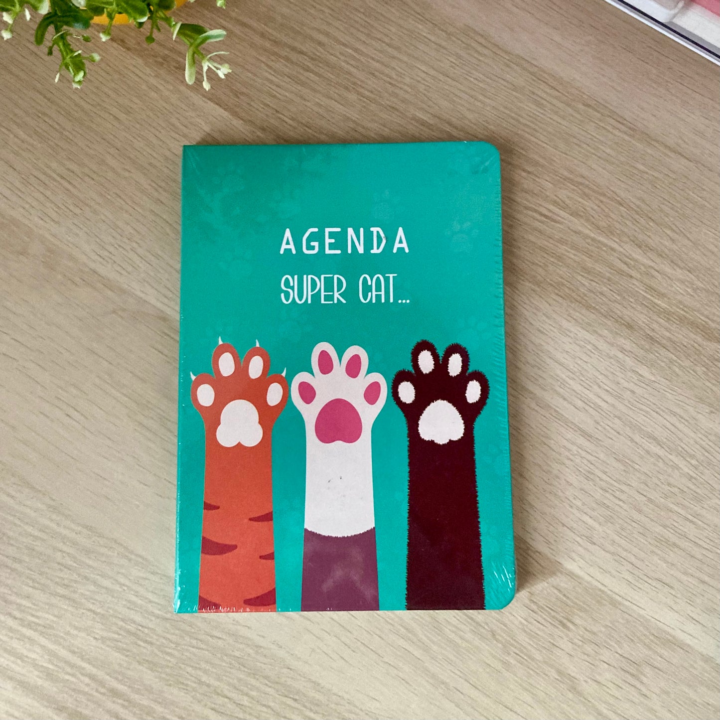 Libreta Cats diseños A5